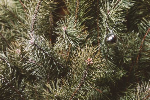 Christmas tree needles. Minimalistic decorations