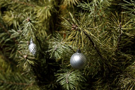 Christmas tree needles. Minimalistic decorations