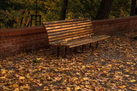 Empty bench on a park in Prague 6