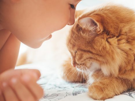 Cute ginger cat and child snuggle. Kid and fluffy pet. Faces of little boy and fuzzy domestic animal. Morning bedtime.