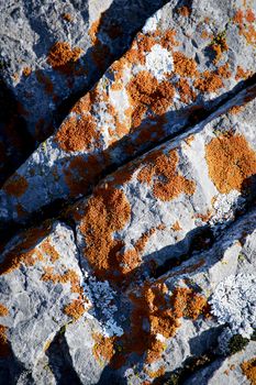 nature background details of limestone stone with orange moss