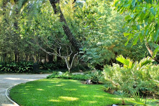 Green vegetation in Huerto del Cura botanical garden in Elche, Spain