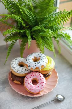 Sweet and fresh colored different donuts with chocolate frosted, glazed and sprinkles, icing topping on pink plate on concrete background.