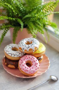 Sweet and fresh colored different donuts with chocolate frosted, glazed and sprinkles, icing topping on pink plate on concrete background.