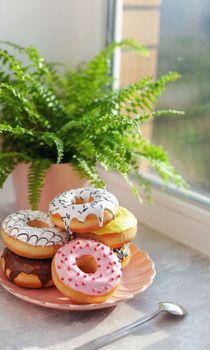 Sweet and fresh colored different donuts with chocolate frosted, glazed and sprinkles, icing topping on pink plate on concrete background.