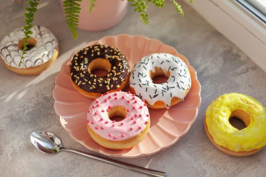 Sweet and fresh colored different donuts with chocolate frosted, glazed and sprinkles, icing topping on pink plate on concrete background.