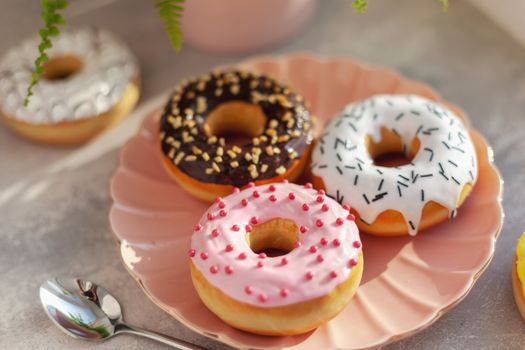 Sweet and fresh colored different donuts with chocolate frosted, glazed and sprinkles, icing topping on pink plate on concrete background.