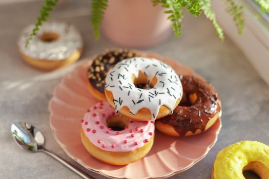 Sweet and fresh colored different donuts with chocolate frosted, glazed and sprinkles, icing topping on pink plate on concrete background.