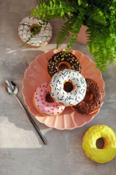 Sweet and fresh colored different donuts with chocolate frosted, glazed and sprinkles, icing topping on pink plate on concrete background.