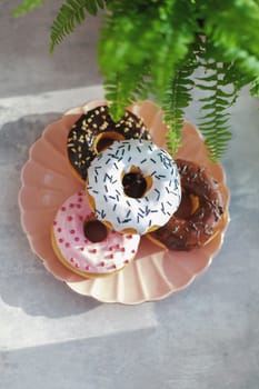 Sweet and fresh colored different donuts with chocolate frosted, glazed and sprinkles, icing topping on pink plate on concrete background.