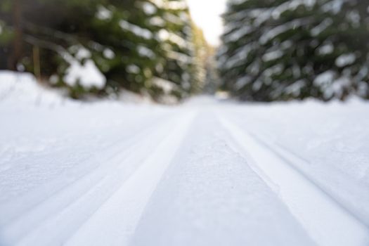 snow running track in winter forest.