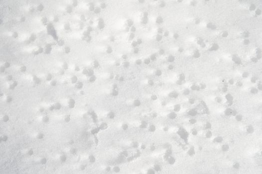 structure of white frozen snow in winter.