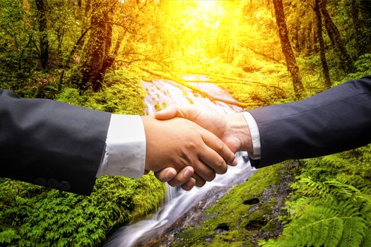 businessmen shaking hands on nature background
