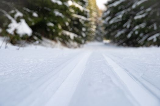 Footprints in the snow for cross-country skiing.
