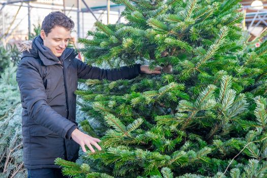 man buying christmas tree on the market.