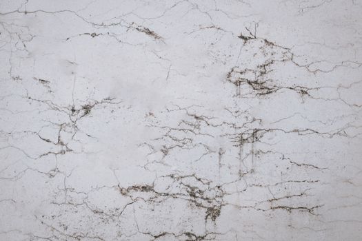 White marble texture for background.