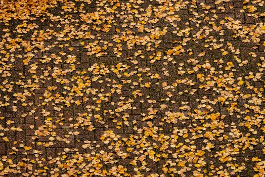 Aerial perspective of orange and yellow fall leaves on bricks.