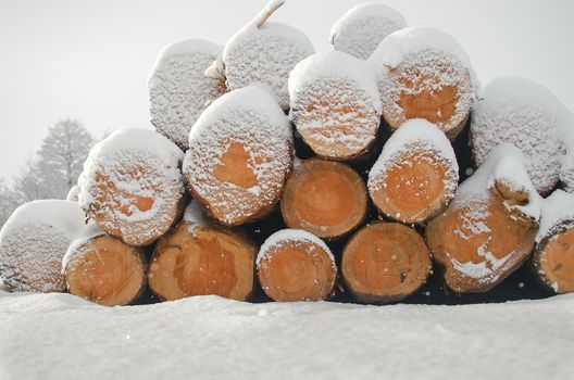 Harvest of timber. Firewood is a renewable energy source. Log trunks pile, the logging timber forest wood industry.