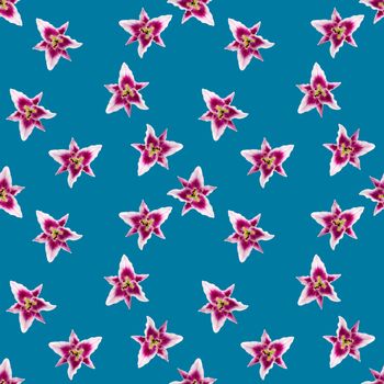 seamless pattern of pink Lily flower bloom. Pink lily flowers over blue background seamless texture. flat lay flower pattern