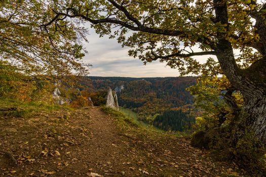 Fantastic autumn hike in the beautiful Danube valley at the Beuron monastery with beautiful views and rocks