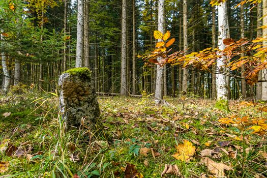 Historic boundary stone between Prussia and Baden Wurttemberg on a hike in the Danube Valley in autumn near Beuron