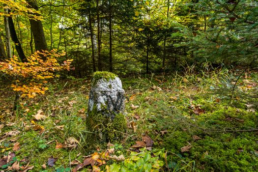 Historic boundary stone between Prussia and Baden Wurttemberg on a hike in the Danube Valley in autumn near Beuron