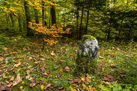 Historic boundary stone between Prussia and Baden Wurttemberg on a hike in the Danube Valley in autumn near Beuron