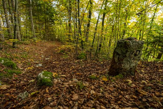 Historic boundary stone between Prussia and Baden Wurttemberg on a hike in the Danube Valley in autumn near Beuron