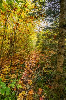 Fantastic autumn hike in the beautiful Danube valley at the Beuron monastery with beautiful views and rocks