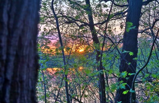 Beautiful and romantic sunset at a lake in stunning yellow and orange colors