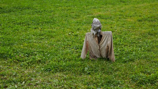 Scarecrow in field. Scarecrow on nature background.