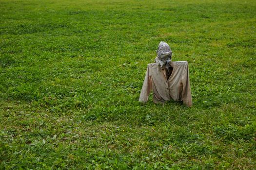 Scarecrow in field. Scarecrow on nature background.