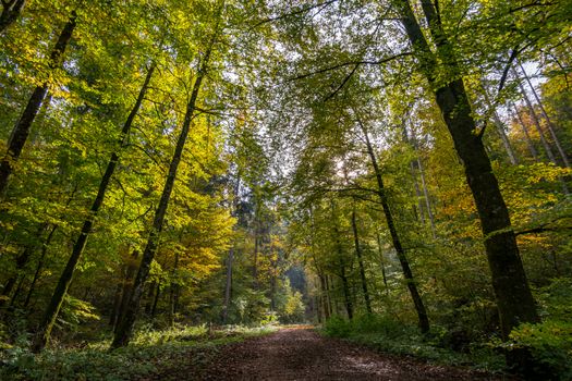 Fantastic autumn hike in the beautiful Danube valley at the Beuron monastery with beautiful views and rocks