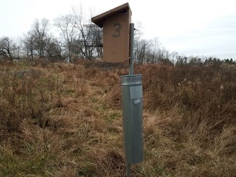 bird house with the number three and brown grass