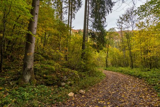 Fantastic autumn hike in the beautiful Danube valley at the Beuron monastery with beautiful views and rocks