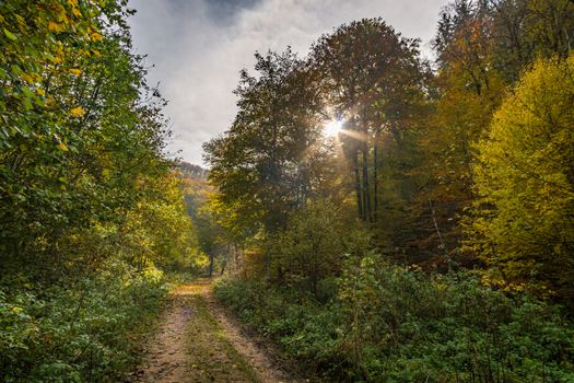 Fantastic autumn hike in the beautiful Danube valley at the Beuron monastery with beautiful views and rocks