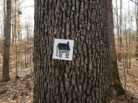 black and white cabin sign on tree bark in forest