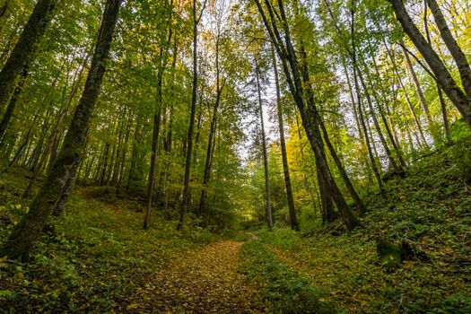 Fantastic autumn hike in the beautiful Danube valley at the Beuron monastery with beautiful views and rocks