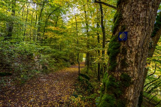 Fantastic autumn hike in the beautiful Danube valley at the Beuron monastery with beautiful views and rocks