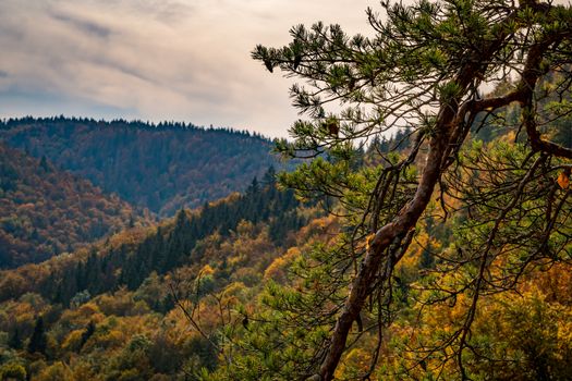 Fantastic autumn hike in the beautiful Danube valley at the Beuron monastery with beautiful views and rocks