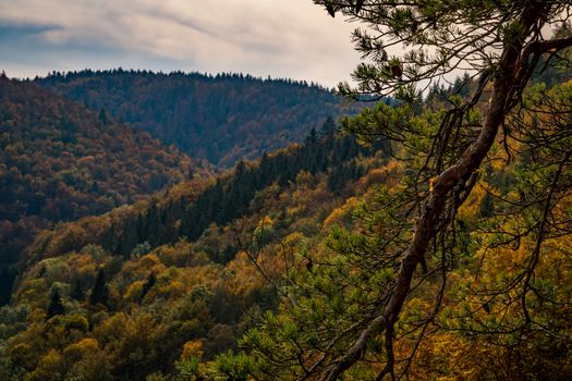 Fantastic autumn hike in the beautiful Danube valley at the Beuron monastery with beautiful views and rocks