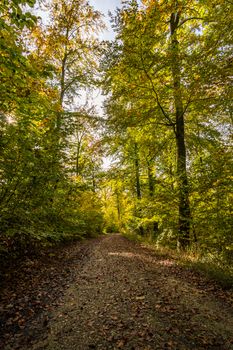 Fantastic autumn hike in the beautiful Danube valley at the Beuron monastery with beautiful views and rocks