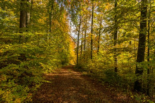 Fantastic autumn hike in the beautiful Danube valley at the Beuron monastery with beautiful views and rocks