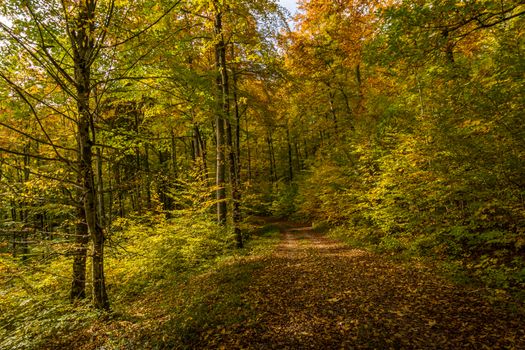 Fantastic autumn hike in the beautiful Danube valley at the Beuron monastery with beautiful views and rocks