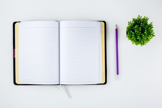 Open notebook or diary for reminder and memo and planner isolated on white background, book mockup and pencil and tree on desk office, education and supplies concept, top view.