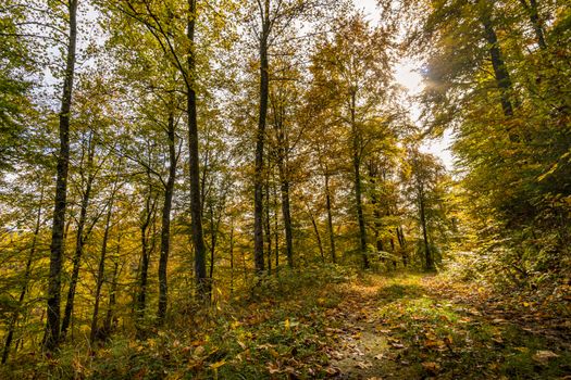 Fantastic autumn hike in the beautiful Danube valley at the Beuron monastery with beautiful views and rocks