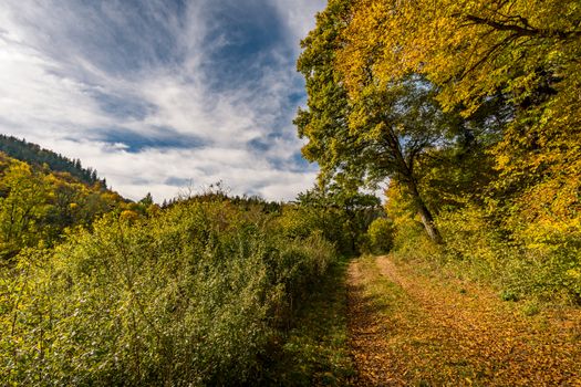 Fantastic autumn hike in the beautiful Danube valley at the Beuron monastery with beautiful views and rocks