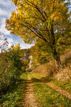 Fantastic autumn hike in the beautiful Danube valley at the Beuron monastery with beautiful views and rocks