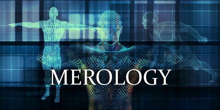 Merology Medicine Study as Medical Concept