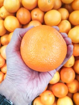 Hand holding tangerine on group of tangerine background.